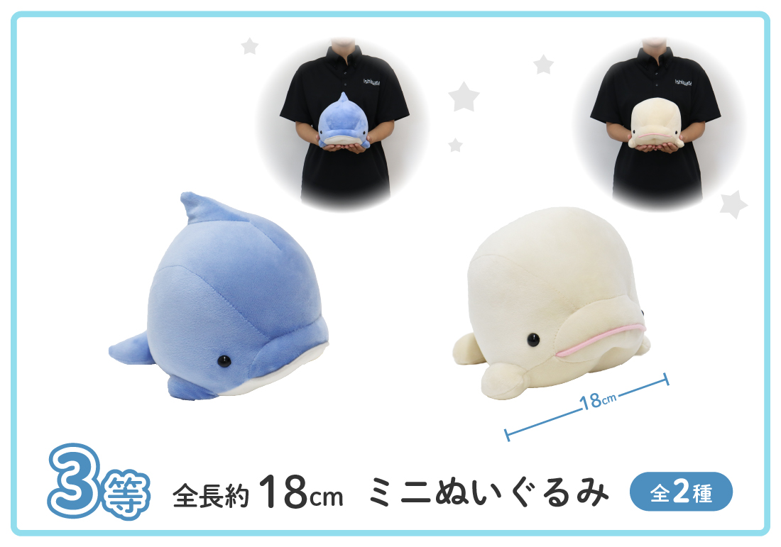 シーパラくじ もちもちイルカ・シロイルカ | シーパラ オンラインくじ